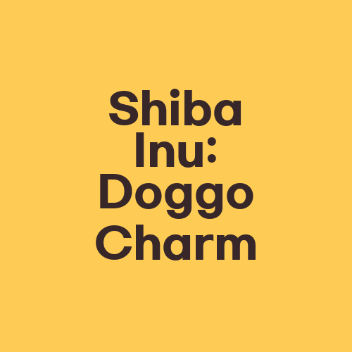 Shiba Inu: Doggo Charm